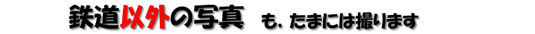 [�S���ȊO�̎ʐ^]
