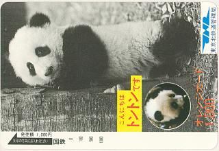 [切符の画像]